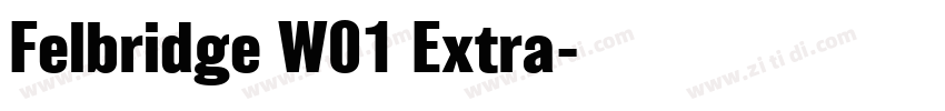 Felbridge W01 Extra字体转换